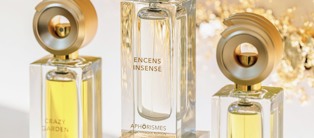 Aphorismes by Dominique Ropion