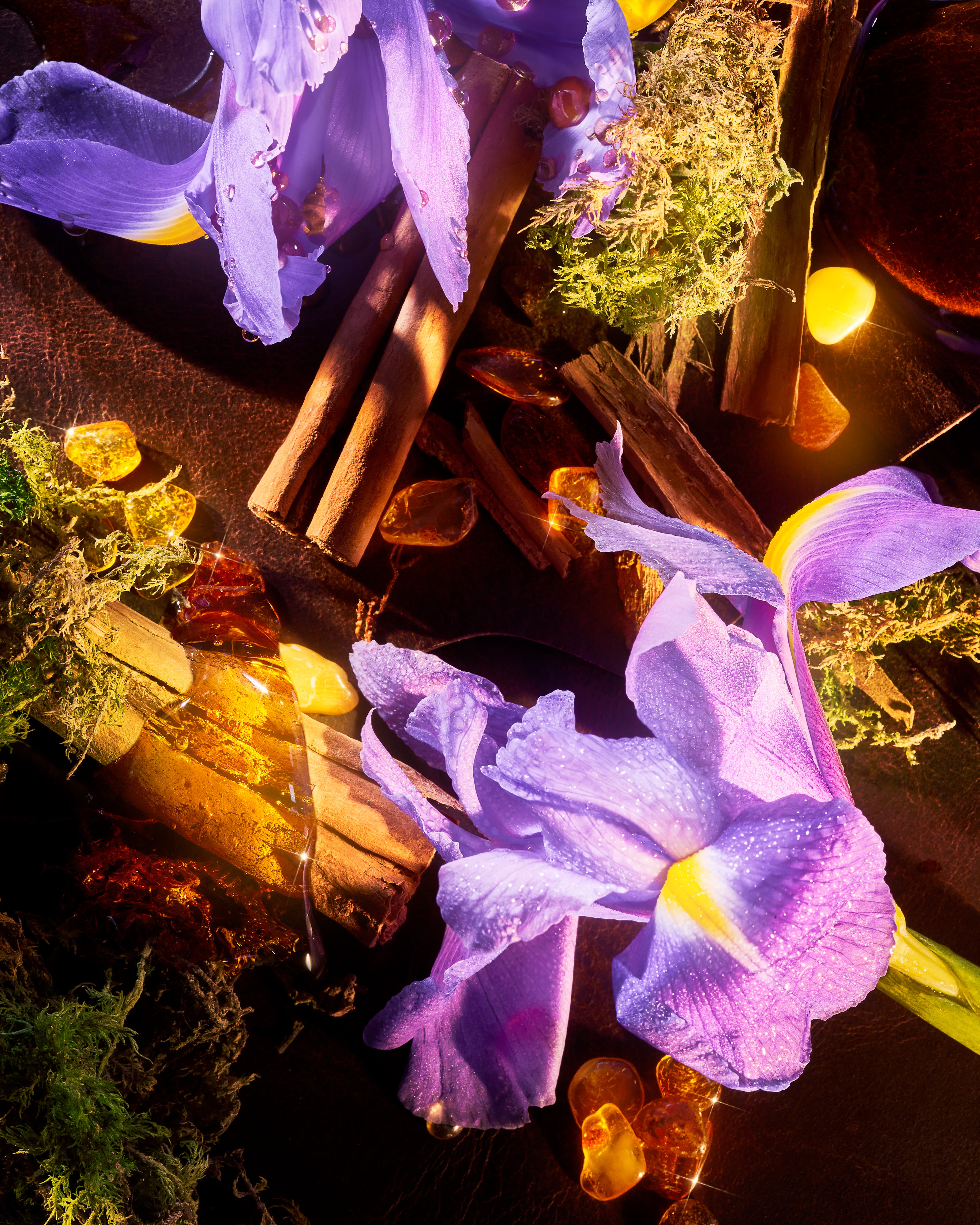 ROJA HAUTE LUXE – Roja Dove Perfumery